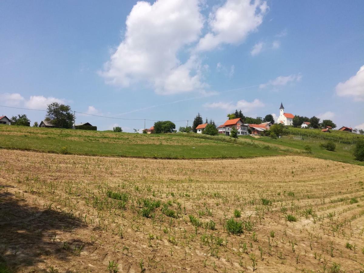 Kuca Za Odmor ,,Oletic 2" Vila Sveti Martin Na Muri Exterior foto