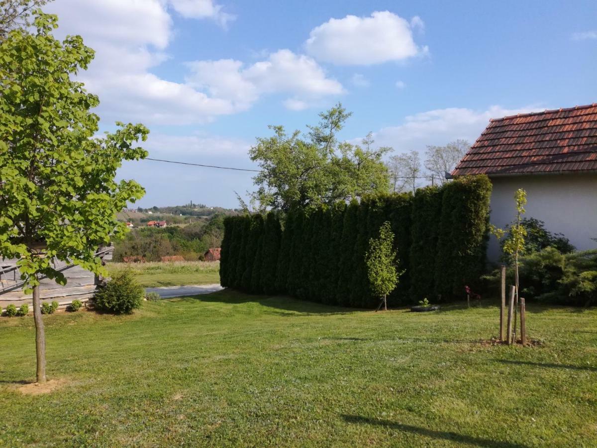 Kuca Za Odmor ,,Oletic 2" Vila Sveti Martin Na Muri Exterior foto